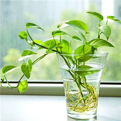 江湖行2内购破解版下载